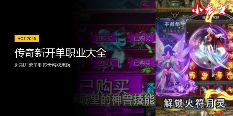 传奇新开单职业大全