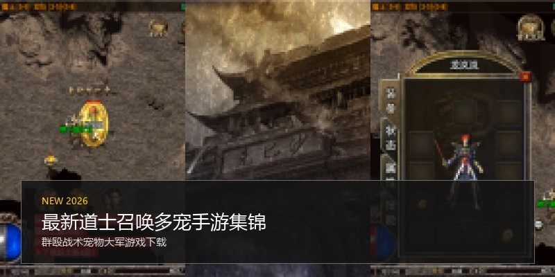 最新道士召唤多宠手游集锦