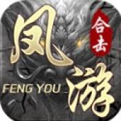 凤游合击176