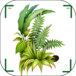 识万物扫一扫免费版
