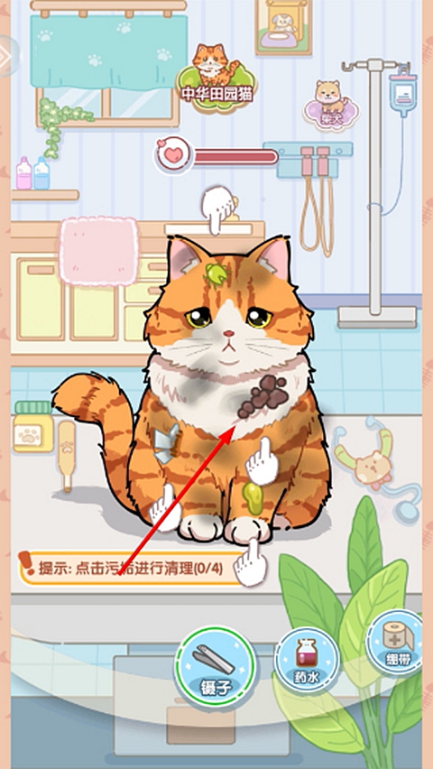 糖果猫正版图2