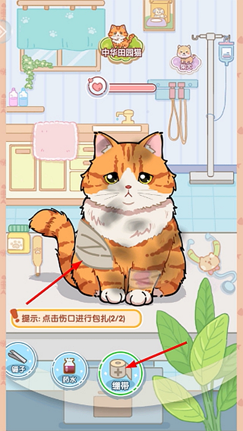 糖果猫正版图3