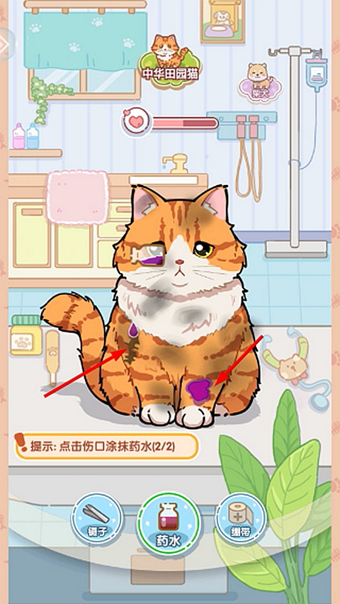 糖果猫正版图1