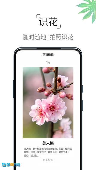 养花大全手机版图1