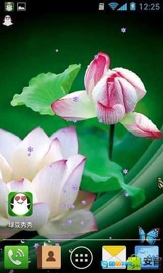 并蒂莲壁纸图2