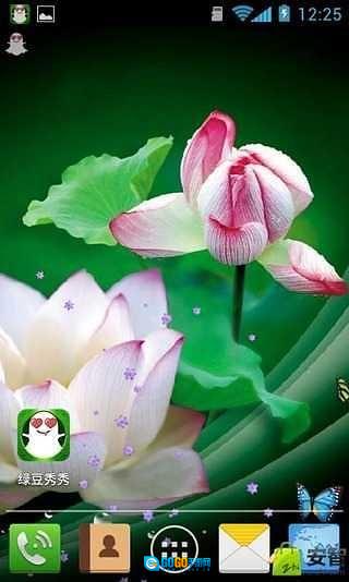 并蒂莲壁纸图3