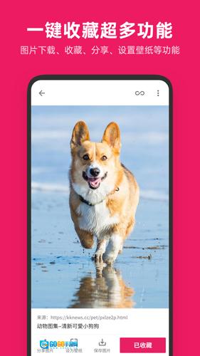 图片搜搜通用版图1