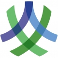 岭南通app