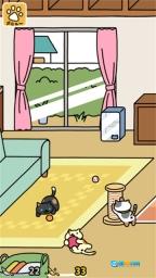 猫咪后院2游戏安装包图3