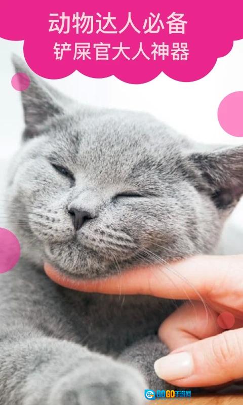 猫语翻译手机免费版图3