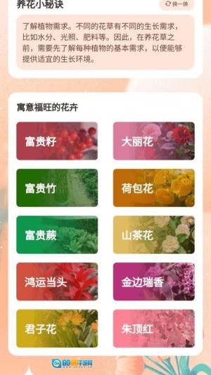 富贵成语安卓官方版图2