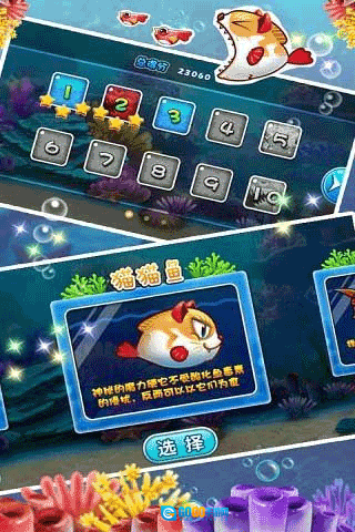 大鱼吃小鱼2正版图2