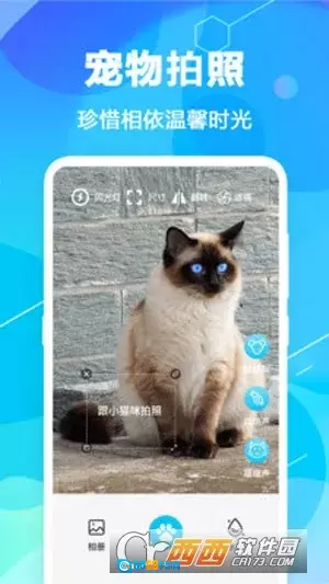 猫语翻译pet官方最新版图3