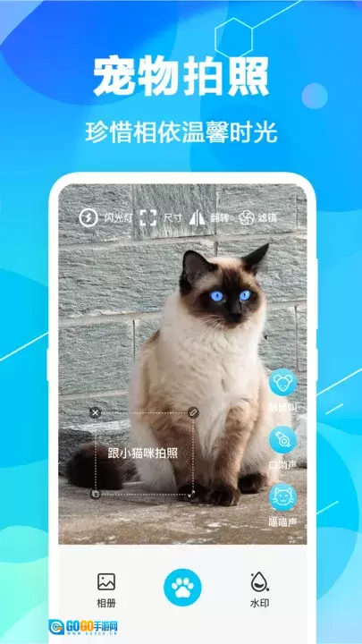 猫语翻译pet官方最新版图5