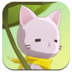 亲爱的猫咪
