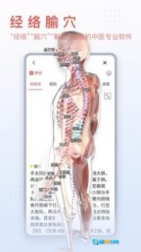 3Dbody解剖手机免费版图1