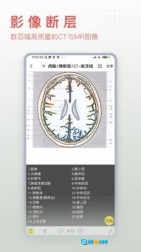 3Dbody解剖手机免费版图2