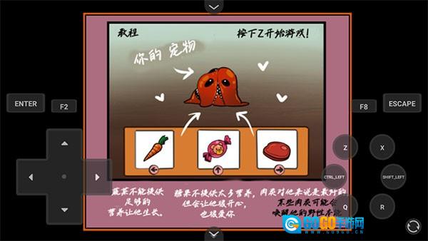 家养宠物游戏安装包图2