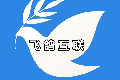 飞鸽互联