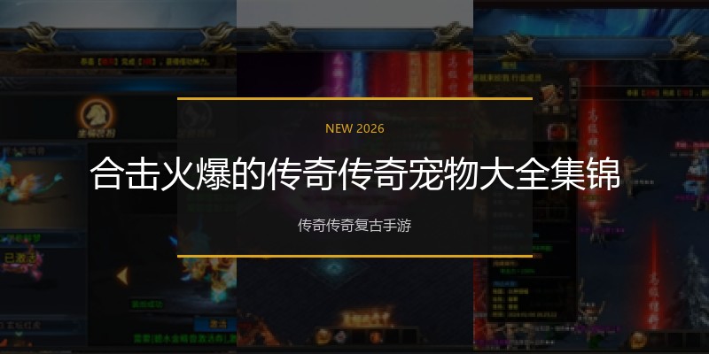 合击火爆的传奇传奇宠物大全集锦