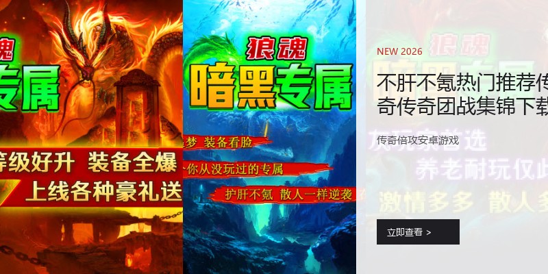 不肝不氪热门推荐传奇传奇团战集锦下载