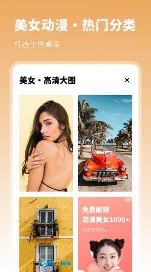 动漫主题壁纸手机版图5