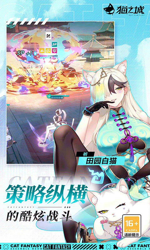 猫之城正式版图5