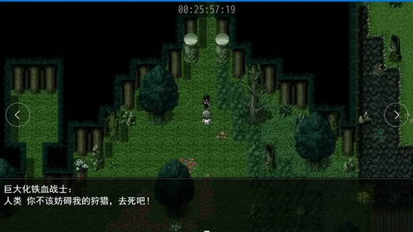 轮回再启游戏合集
