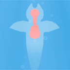 海天使生活v1.0