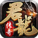 君龙散人