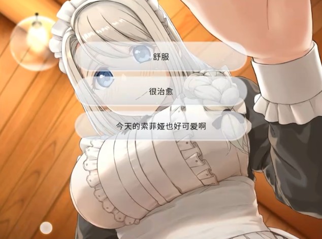 我与索菲亚的秘密系列游戏合集