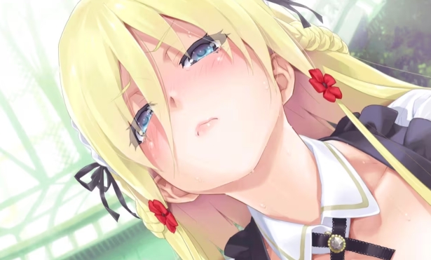 美少女万华镜3游戏(4)