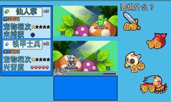 宠物王国5彩虹bt版图3