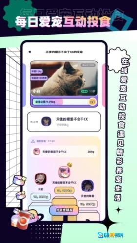 PetPet陪陪官方最新版图4