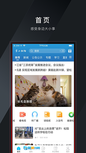 掌上松阳移动客户端无广告版图1