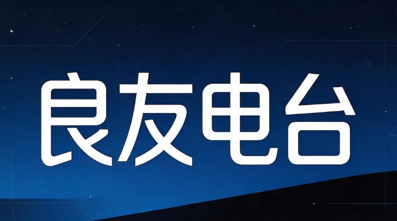 良友电台软件大全