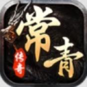 常青传奇