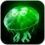绿水母eggjelly