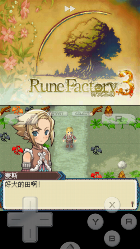 符文工房3豪华版图1