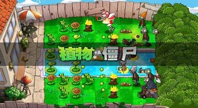 植物大战僵尸95版大全