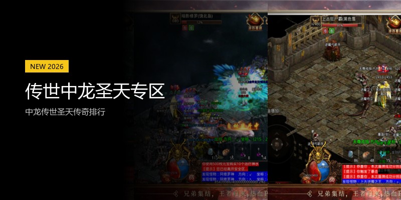 传世中龙圣天专区
