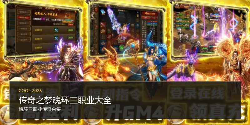 传奇之梦魂环三职业大全