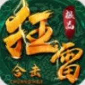 狂雷极品合击