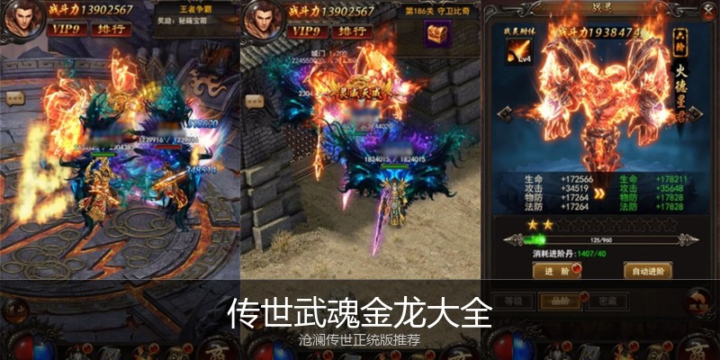 传世武魂金龙大全