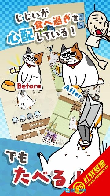 为饥饿的猫寻找饲料(はらぺこ猫)手游直装版图2