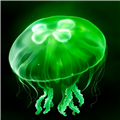 绿水母eggjelly安卓官方版 v1.4