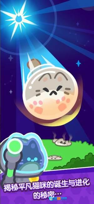 猫大战进化(CatWars)游戏纯净版图1