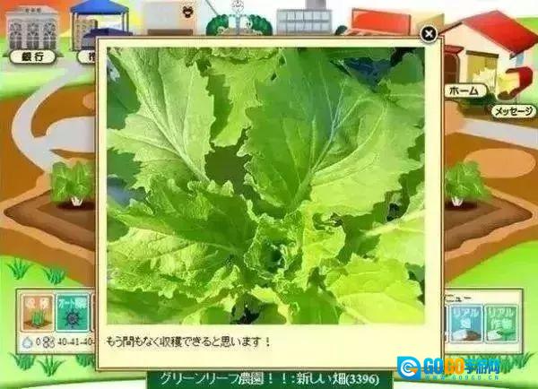 旅游鸡(TravelingChicken)手机最新版图1