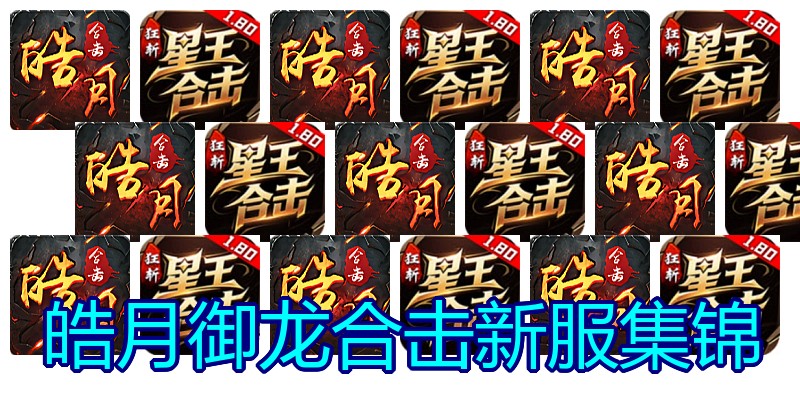 皓月御龙合击新服集锦