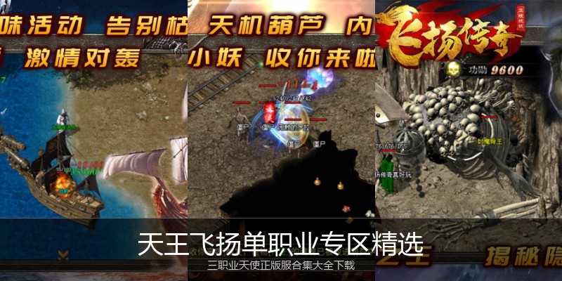 天王飞扬单职业专区精选